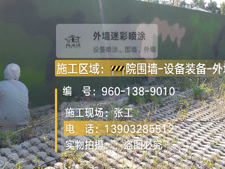 巴彦淖尔外墙迷彩漆材料价约 45-60 元 /k