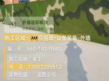 巴彦淖尔 迷彩漆喷涂价格（按平方米计费）