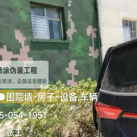 巴彦淖尔数码迷彩漆施工